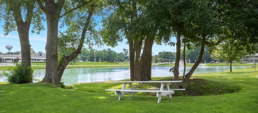 Picnic table under trees by a tranquil pond with fountain and distant buildings.