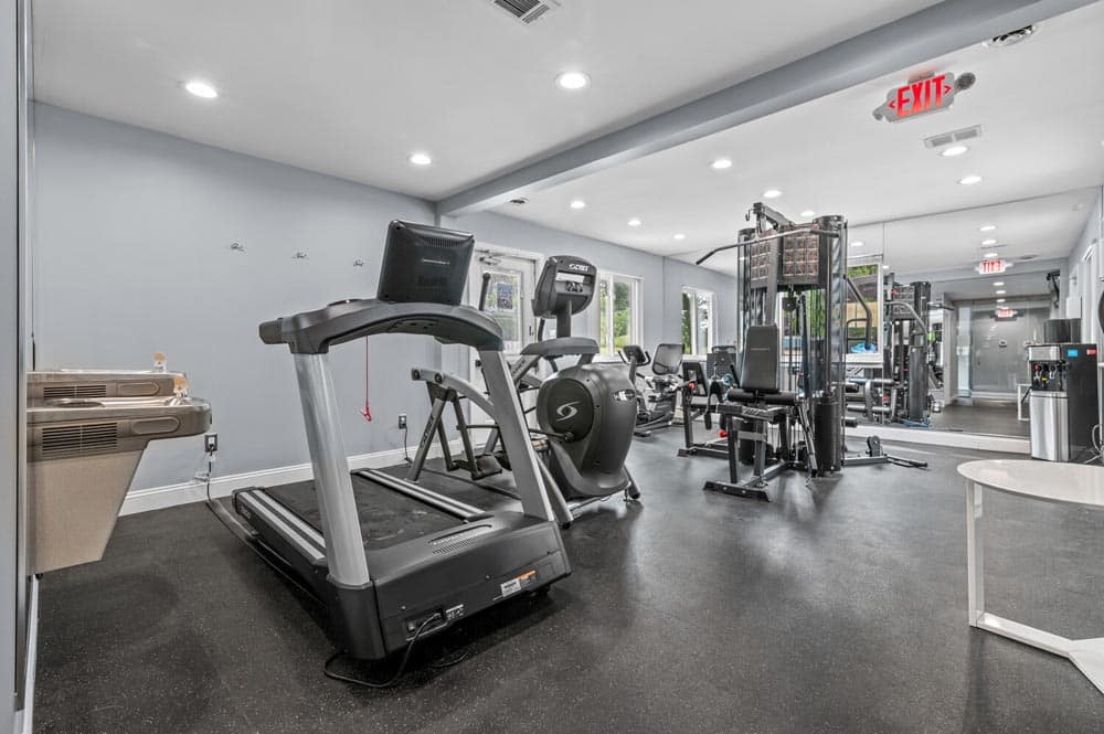 Modern gym interior with treadmill, exercise bike, and weight machines.
